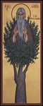 Wood Plaque - St. David of Thessalonika by R. Lentz